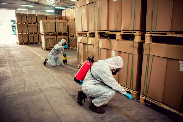 Best Affordable Pest Control Services  in Nashville, TN