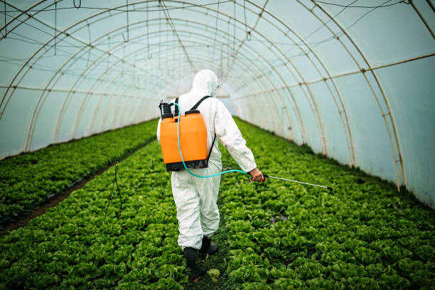 Best Affordable Exterminators  in Nashville, TN