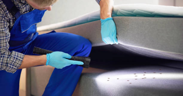 Best Affordable Pest Control Services  in Nashville, TN