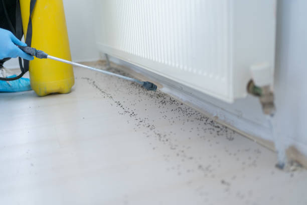Best Pest Removal Services  in Nashville, TN