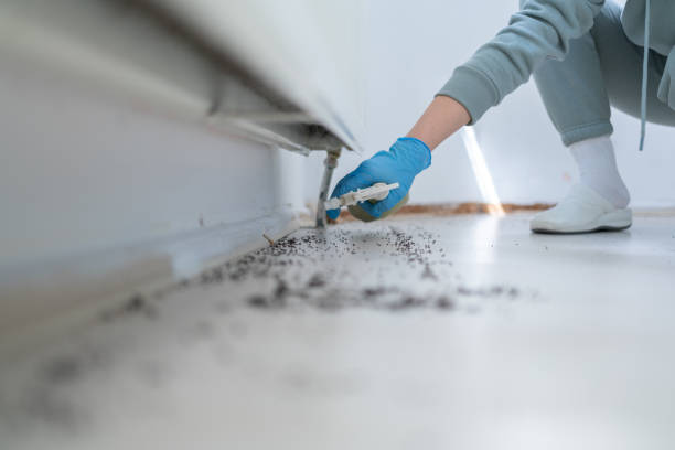 Best Pest Control Near Me  in Nashville, TN